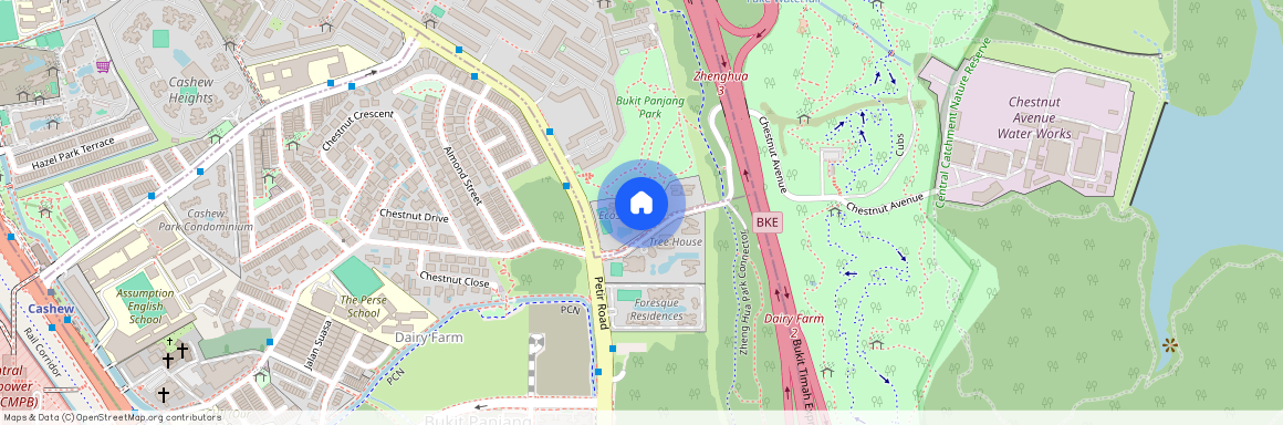 63 Chestnut Avenue, D23, 679523, Singapore