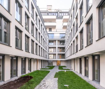 ++NEU++ hochwertige 2-Zimmer-Wohnung mitten im Herzen der Stadt (3/6) - Photo 1
