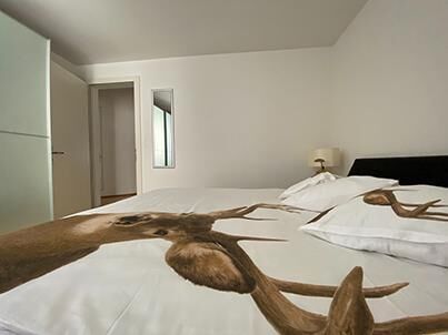 Best hotel alternative, DAILY RENTAL / CHRISTMAS MARKET from CHF 225 / 275 - Photo 1