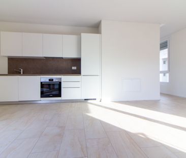 2.5 LOCALI ARREDATO E MODERNO A VIGANELLO - Foto 4
