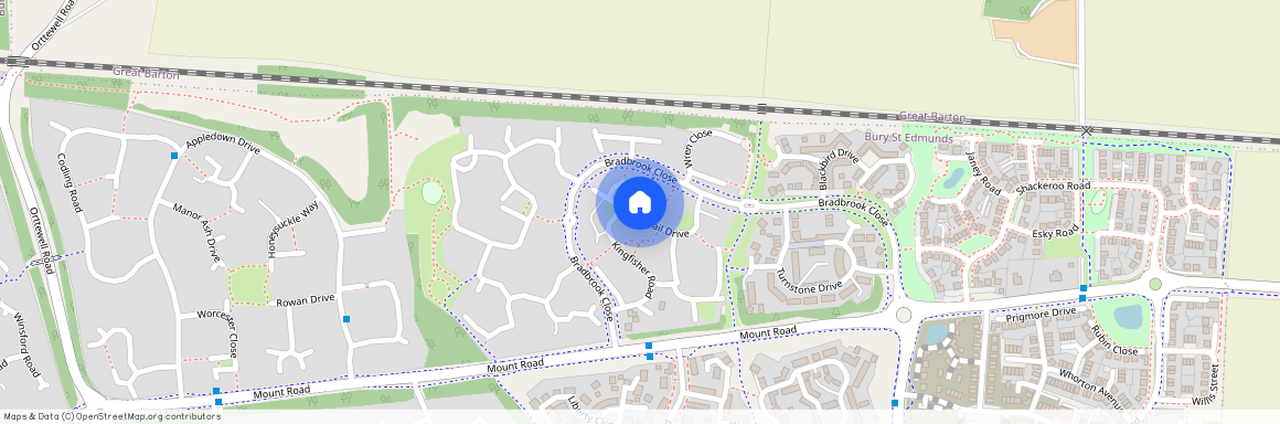 Wagtail Drive, BURY ST. EDMUNDS