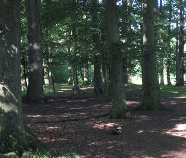 Höstgatan 41 - Foto 4