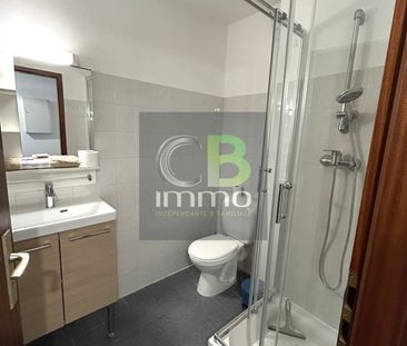 Location Appartement 1 pièce 28m² BRY SUR MARNE 94360 - Photo 4