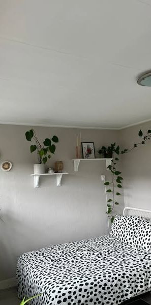 Room Groningen - Korrewegwijk - Foto 1