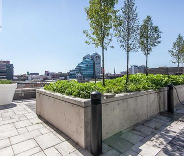 For Lease - 85 Duke Street Unit# 110, Kitchener, Ontario - Photo 2