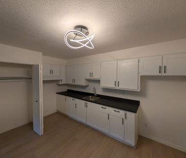 5 ½| 2 MOIS GRAUITS|ENTIÈREMENT RÉNOVÉ - Photo 2