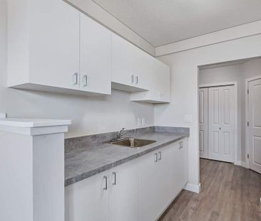 Renovated Suite - 1 Bedroom - Photo 3