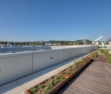 "Wohlfühlen über den Dächern von Aarau!" - Photo 5