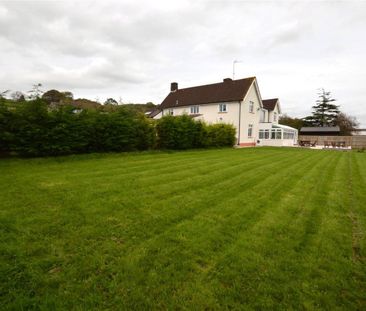 2 Bed Terraced House To Rent - Photo 4