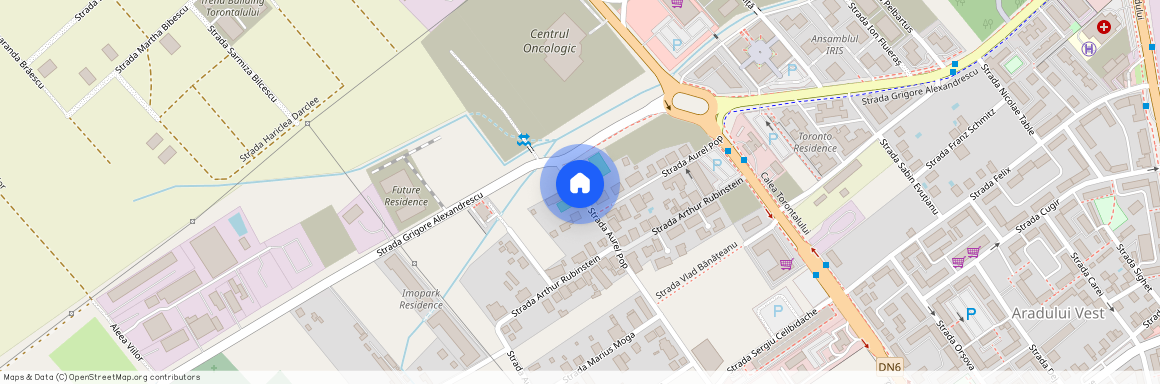 Torontalului, Timisoara