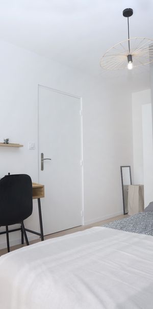COUCOUS Roommate 3 Bedrooms at Nantes - Photo 1
