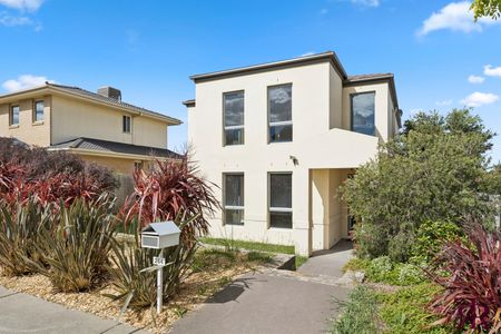 264 Flemington Road, Harrison ACT 2914 - House For Rent | Domain - Photo 5