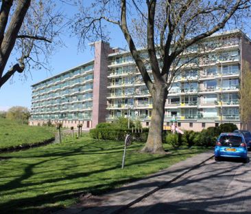 170, Ooievaarstraat, 2162 XW, Lisse - Photo 1