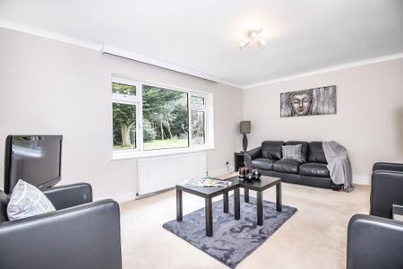 1 bedroom cottage to rent - Photo 2