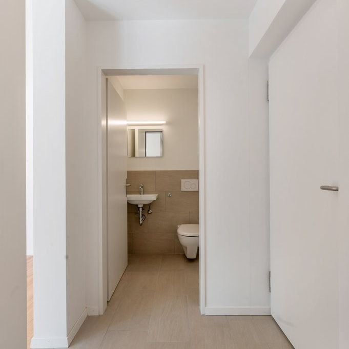 3 individuelle Wohneinheiten - LIVING AARE in Olten - Foto 1