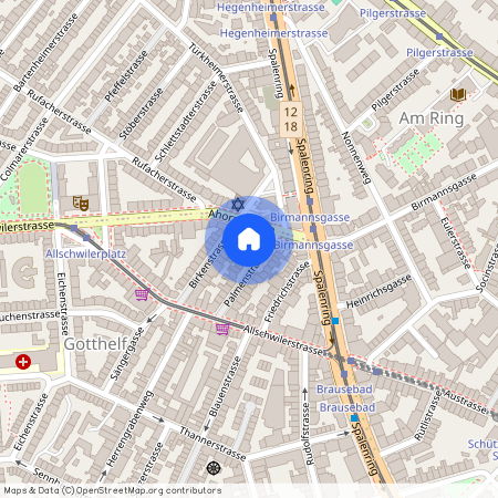 4055, Basel, Palmenstrasse, 6