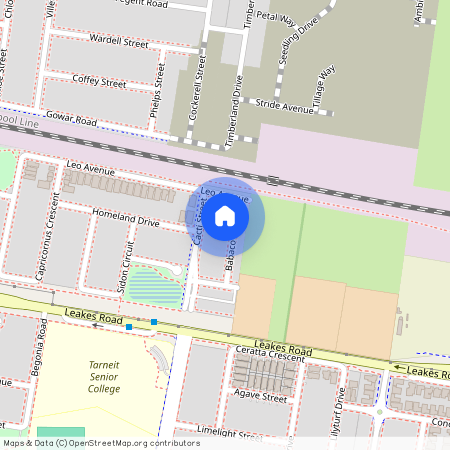 10 Babaco Street, Tarneit, VIC 3029