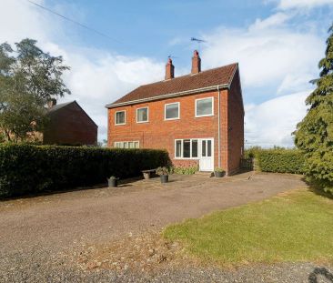 Necton - Photo 6