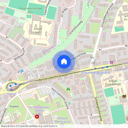 Sallenbachstr. 25, 8055, Zürich