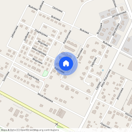 ul. Kasztanowa, Psarskie, Śrem, śremski, wielkopolskie