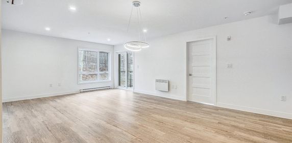 Appartement Mercier À Louer - Photo 2