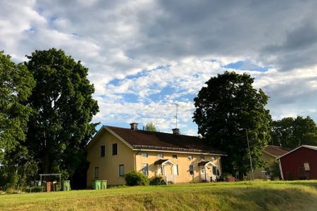 Parhustrea i Näs bruk - Foto 5