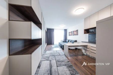 Pronájem zařízeného bytu 1+kk s balkónem a garážovým stáním – Brno - Photo 4