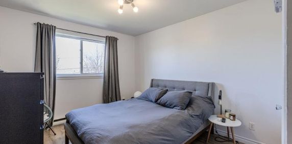 Appartement 4 ½ à louer Lévis juillet 2026 - Photo 2