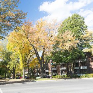 4 1/2 avenue de Vimy près du cégep Garneau- tt inclus-1er mai - Photo 2
