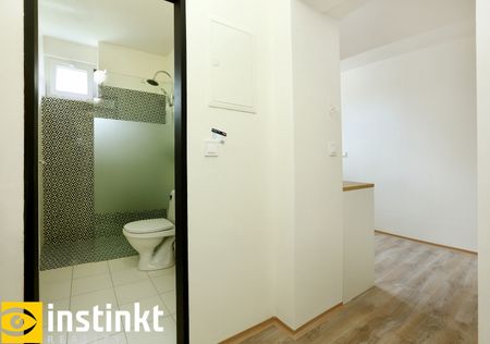 Pronájem bytu 1+1 33 m², U Hřiště, Radomyšl - Fotografie 4