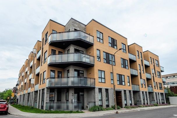 Appartement à louer - Montréal (Côte-des-Neiges/Notre-Dame-de-Grâce) (Côte-des-Neiges) Appartement à louer - Montréal (Côte-des-Neiges/Notre-Dame-de-Grâce) (Côte-des-Neiges) - Photo 1