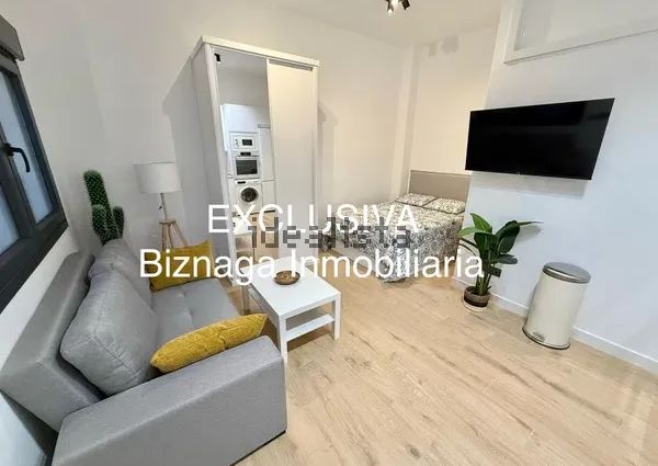 Alquiler de estudio en Avenida de España, 1
