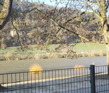 Trier: Wohnung in attraktiver Mosellage mit Einbauküche und großer ... - Foto 6