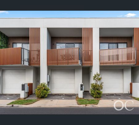 7 Lothian Avenue, Seaton, SA 5023 - Photo 5