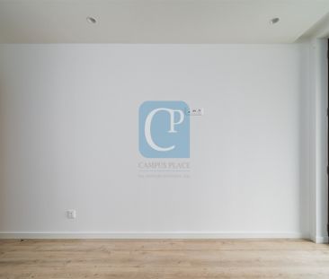 Apartamento T1 KITCHENET - Photo 4