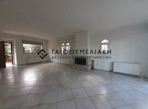 Μονοκατοικία για ενοικίαση - Άγιος Στέφανος - Photo 1