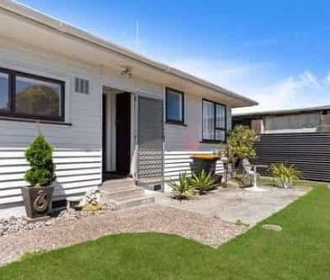 Freshly renovated 3 bedroom home in Awapuni! - Photo 5