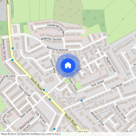 Balmoral Drive, Anfield Plain, Stanley