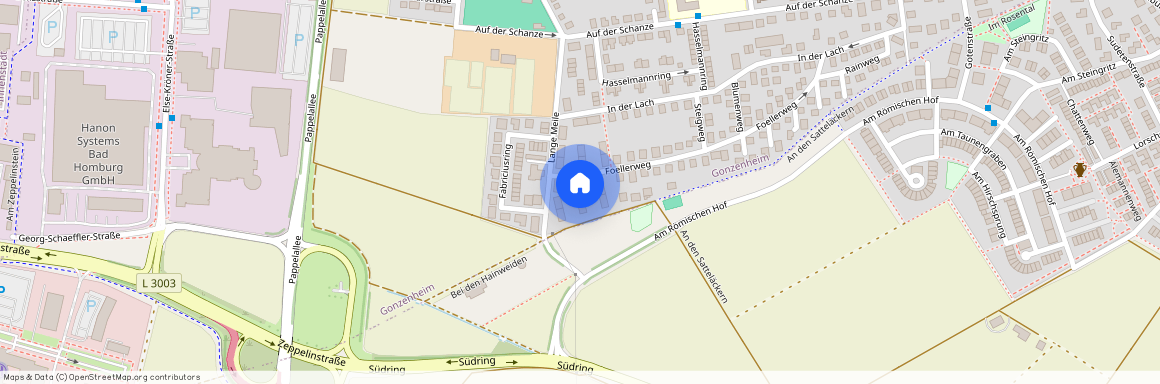 Foellerweg 2, 61352 Bad Homburg OT Gonzenheim