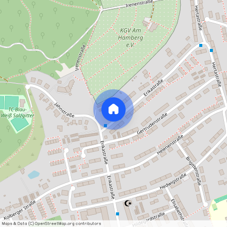 Erikastraße 26 – EG, 38259, – Salzgitter Bad