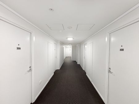 Welcome to unit 308 at 169 The Terrace - Photo 2