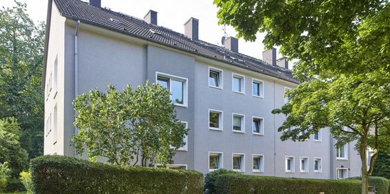 3-Raumwohnung in zentraler Lage - Photo 3