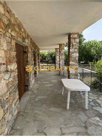 Μονοκατοικία για ενοικίαση Πόρτο Ράφτη (Μαρκόπουλο) - Photo 3