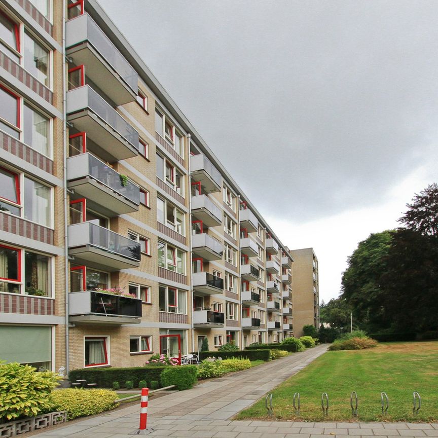 Arnhemse Bovenweg 6A59, 3708AC Zeist - Photo 1