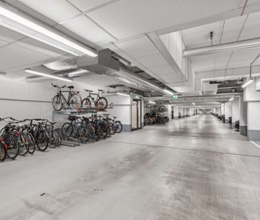 Mit Aussicht zum Park – 1-Zimmer-Apartment in zentraler Lage - Photo 4