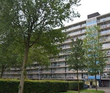 Engelandlaan 0ong, 2034 Haarlem, Nederland - Photo 3