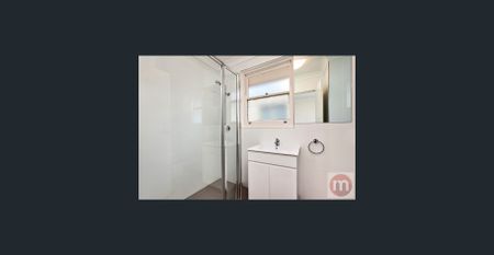 SECLUDED STYLE WITH INNER WEST CONVENIENCE! - Photo 2