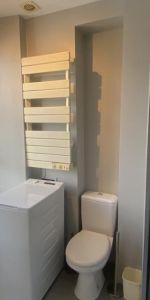 Location appartement 1 pièce - Photo 3