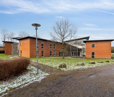 Lækker 2-værelses omgivet af skøn natur ved Syddansk Universitet! -... - Photo 3