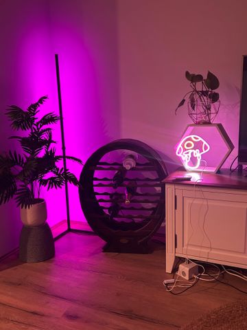 Cockburn Central - Photo 2